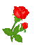 X{PR