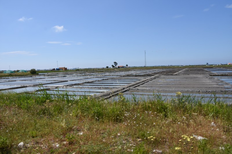 バスツアー2 in Portugal Aveiro