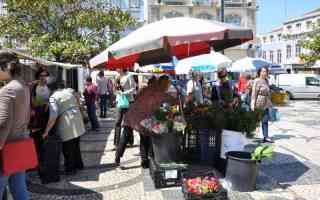 34 J_XE_EC[jin portugal