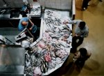 市場の魚屋１