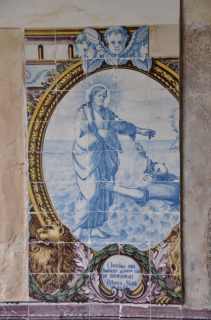 53 RCuin portugal