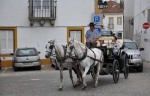 nԂ̌͏a؁EGH@in portugal