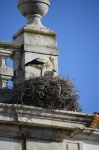 REmg2Et@[@in portugal