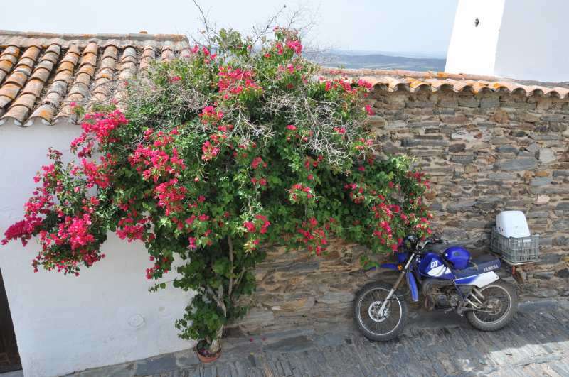 oCN@in Portugal Monsaraz