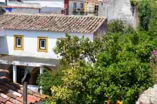43 IrhXin portugal