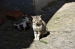 lREy[jKVA@in portugal