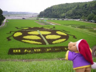 田んぼアートとポー君