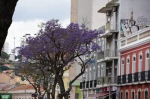 105ʂ1EZgD[o@in portugal